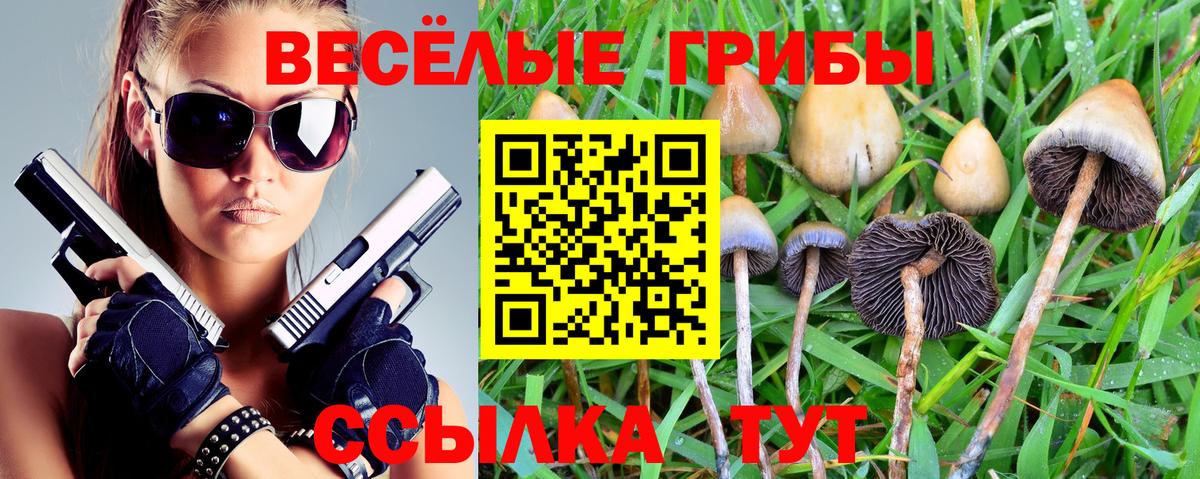 Псилоцибиновые грибы Psilocybine cubensis  Вход с VPN  Великий Новгород 