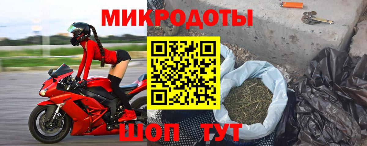 Псилоцибиновые грибы Psilocybine cubensis Великий Новгород